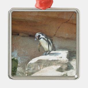 Pinguin, Wildtiere, Tiere, Wildvögel, Zoo, Sommer Silbernes Ornament