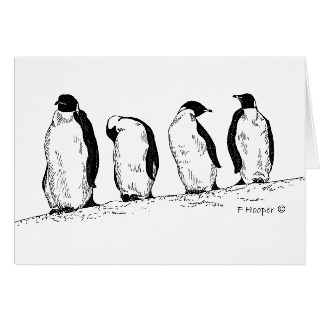 Pinguine (Vorderseite (Horizontal))