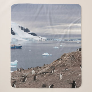 PINGUINE AM MEER SHERPADECKE