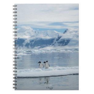 Pinguine auf einem Eisberg Notizblock