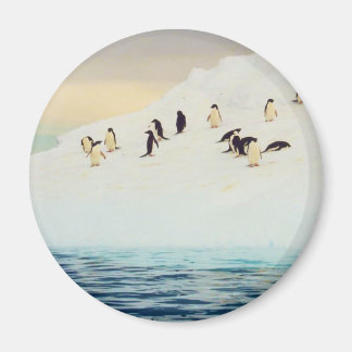 Pinguine auf Eis, runder Magnet