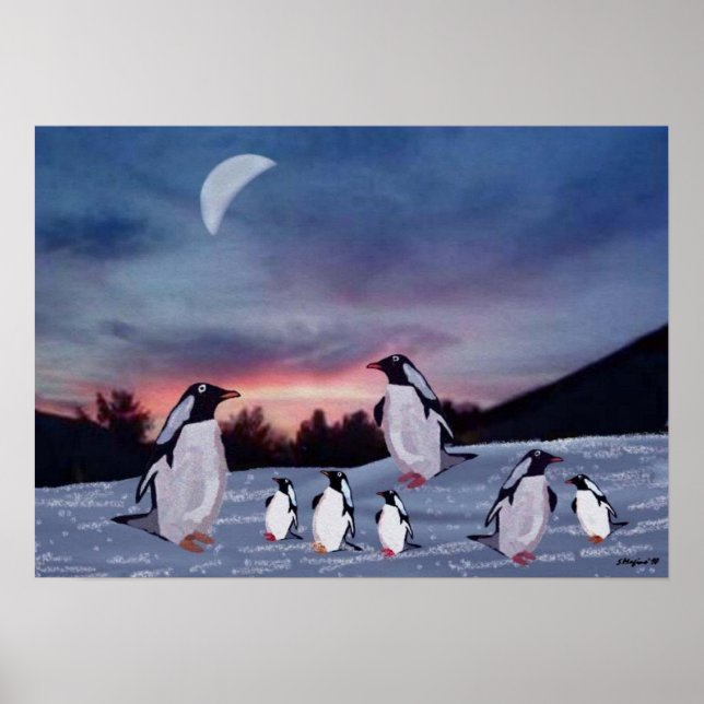 Pinguine auf Eisdrucken Poster (Vorne)