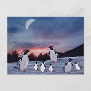 Pinguine auf Eispostkarten Postkarte