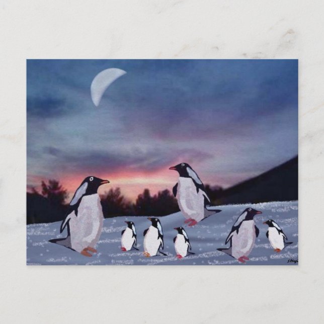 Pinguine auf Eispostkarten Postkarte (Vorderseite)