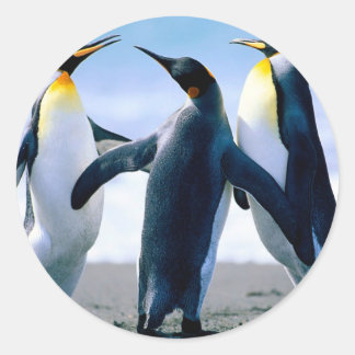 Pinguine aus Alaska Runder Aufkleber
