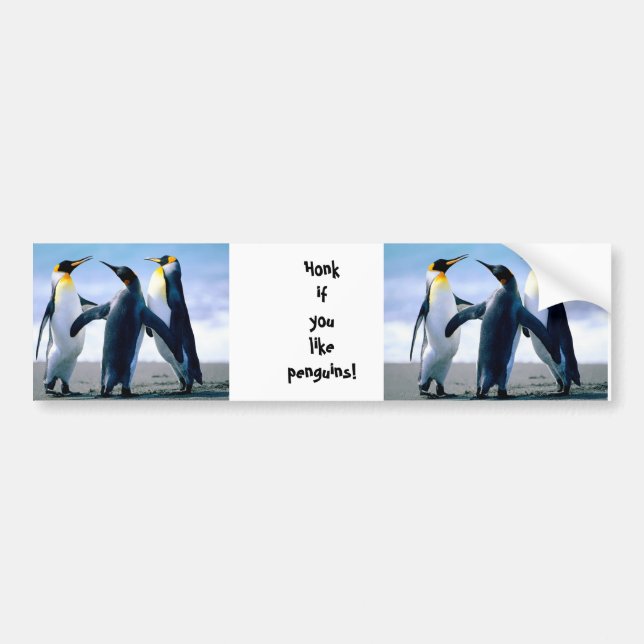 Pinguine Autoaufkleber (Vorne)