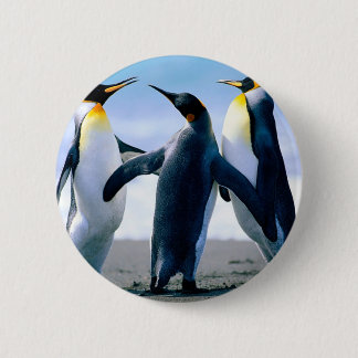 Pinguine Button