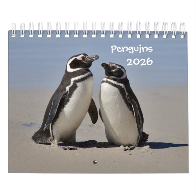Pinguine Calendar Kalender (Titelbild)