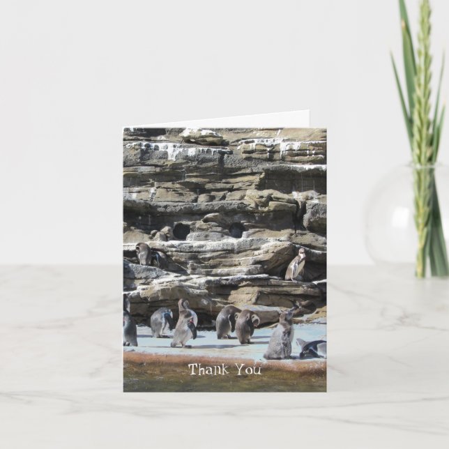Pinguine Danke Ihnen (Vorderseite)