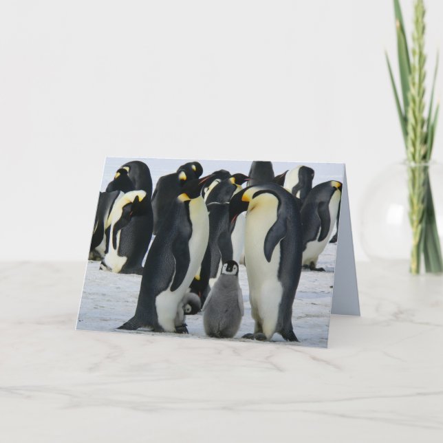Pinguine der Familie begrüßen Karte (Vorderseite)