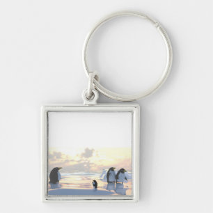 Pinguine, die auf einer Eisscholle abkühlen Schlüsselanhänger