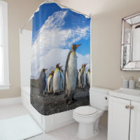 Pinguine, die den blauen Himmel marschieren