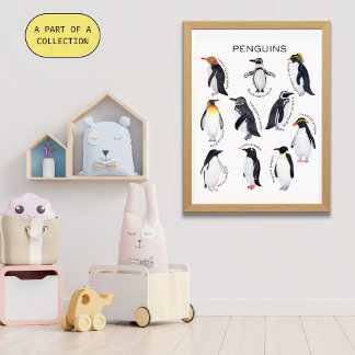 Pinguine Educational Poster