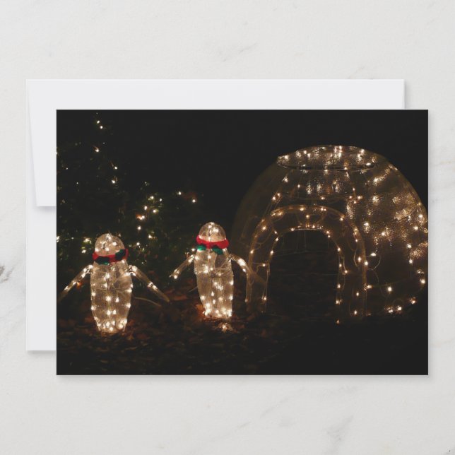 Pinguine Holiday Light Display Feiertagskarte (Vorderseite)