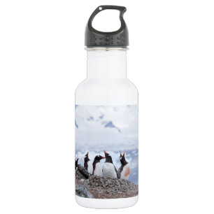 Pinguine in der Antarktis Edelstahlflasche