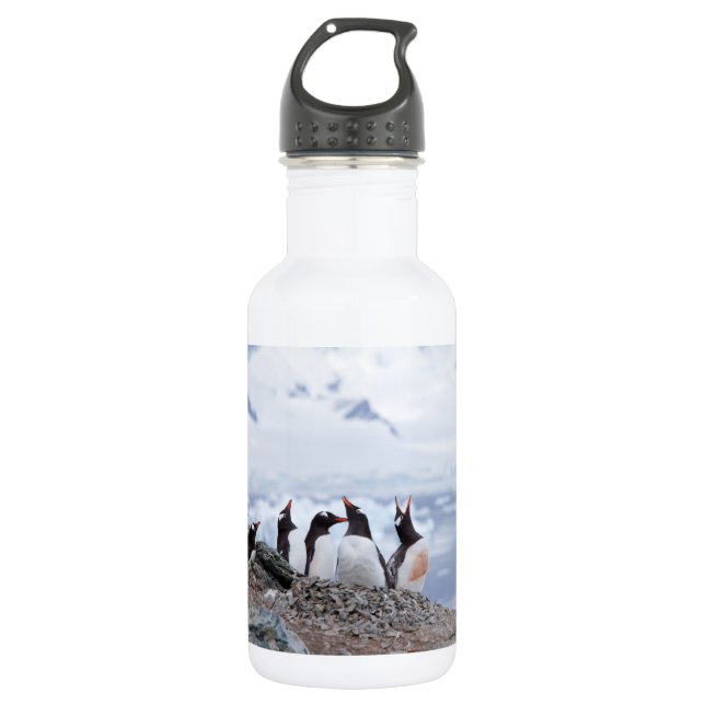 Pinguine in der Antarktis Edelstahlflasche (Vorderseite)