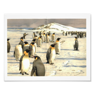 Pinguine in der Antarktis Fotodruck