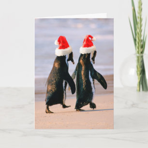 Pinguine in Weihnachtsmannmützen am Strand Feiertagskarte