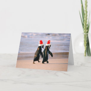 Pinguine in Weihnachtsmannmützen am Strand Feiertagskarte