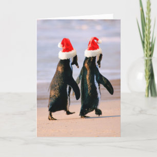Pinguine in Weihnachtsmannmützen am Strand Feiertagskarte