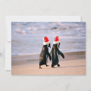Pinguine in Weihnachtsmannmützen am Strand Feiertagskarte