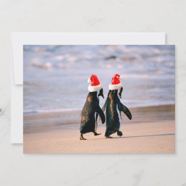 Pinguine in Weihnachtsmannmützen am Strand Feiertagskarte (Vorderseite)