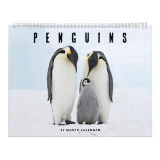 Pinguine Kalender