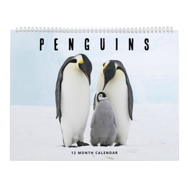 Pinguine Kalender (Titelbild)