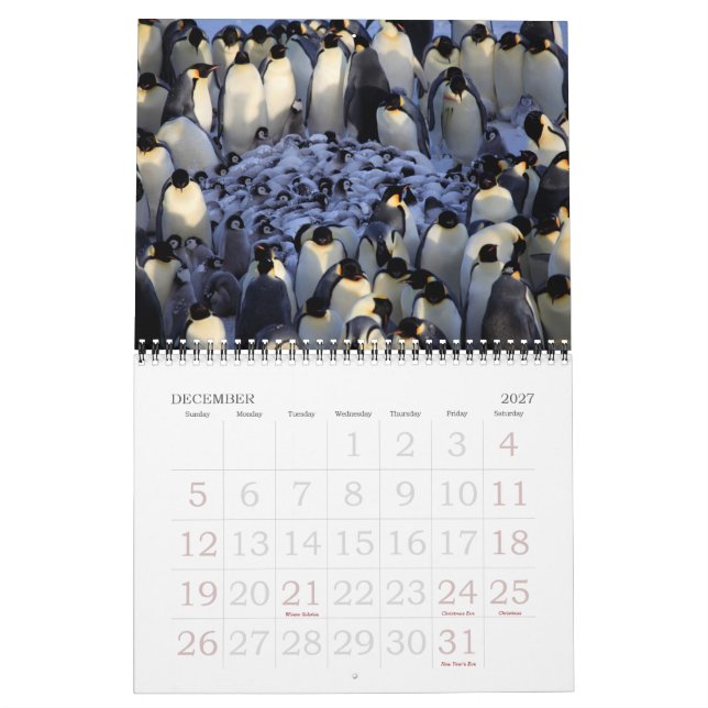 Pinguine Kalender (Dez 2027)