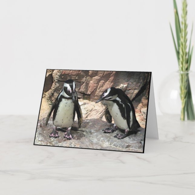 Pinguine Karte (Vorderseite)