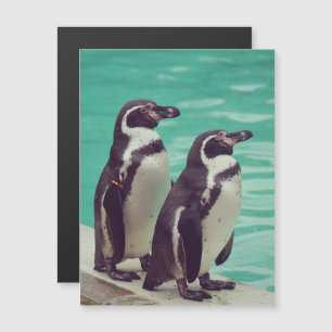 Pinguine Magnetkarte