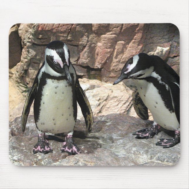 Pinguine Mousepad (Vorne)