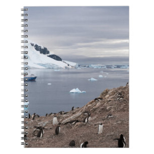 PINGUINE NEBEN MEER NOTIZBLOCK