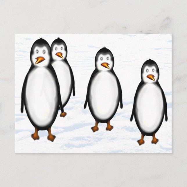 Pinguine Postkarte (Vorderseite)