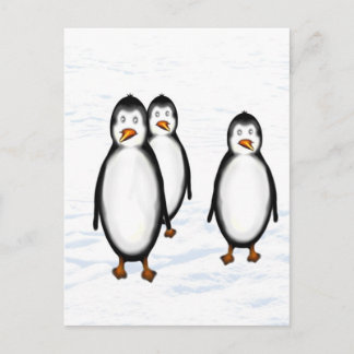 Pinguine Postkarte