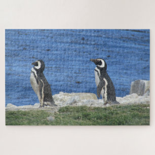 Pinguine Puzzle