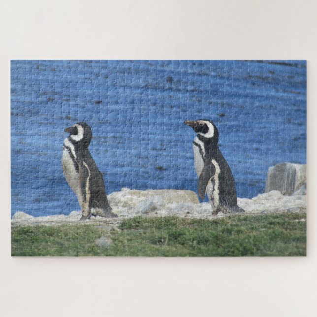 Pinguine Puzzle (Horizontal)