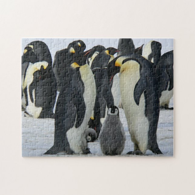 Pinguine Puzzle (Horizontal)