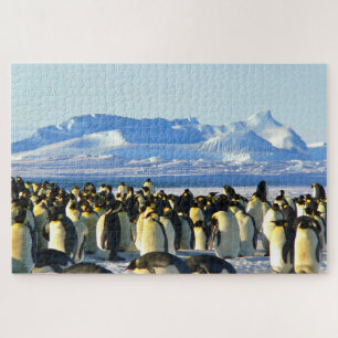 Pinguine Puzzle