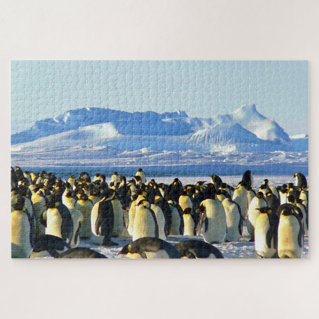Pinguine Puzzle (Horizontal)