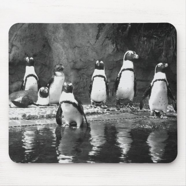 Pinguine reichlich mousepad (Vorne)