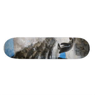 Pinguine Skateboard