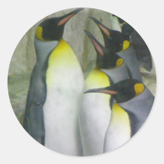 Pinguine, Sticker