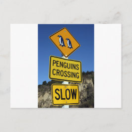 Pinguine überqueren gelbes Straßenschild Postkarte