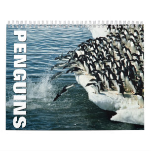 Pinguine Wall Calendar Kalender