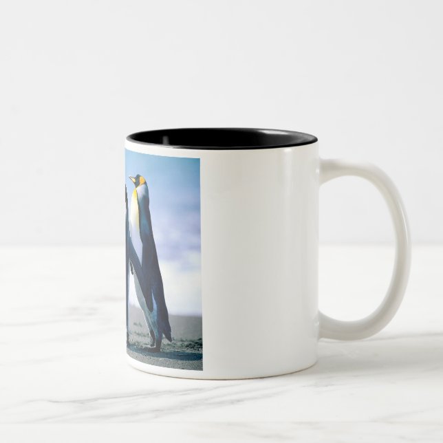 Pinguine Zweifarbige Tasse (Rechts)