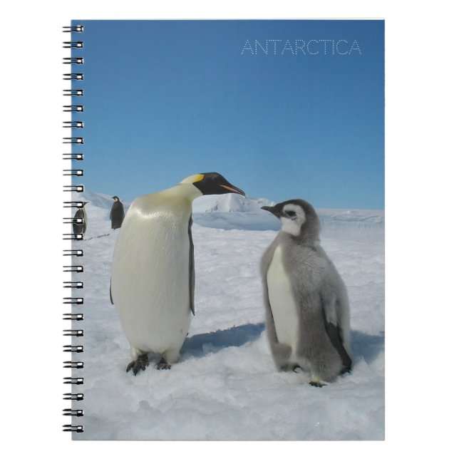 Pinguinfamilie Notizblock (Vorderseite)