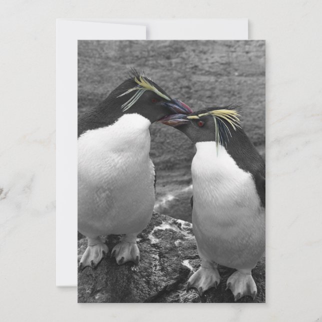 Pinguinfarbexplosion Einladung (Vorderseite)