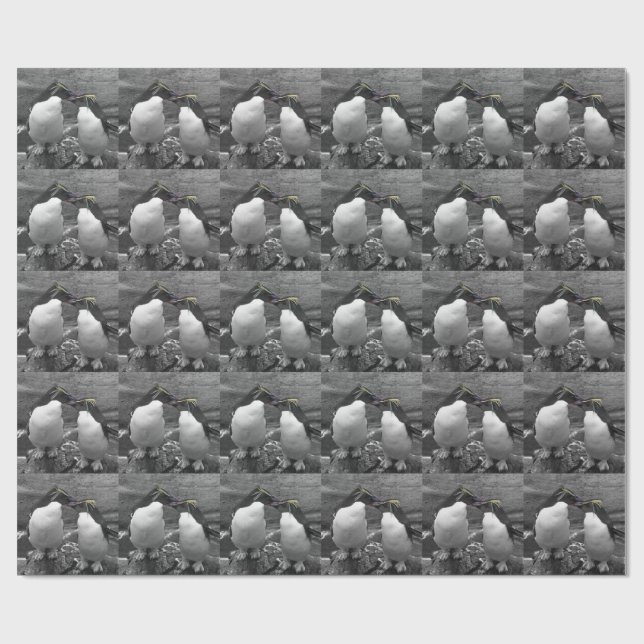 Pinguinfarbexplosion Geschenkpapier (Flach)