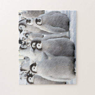 Pinguinfreunde Puzzle